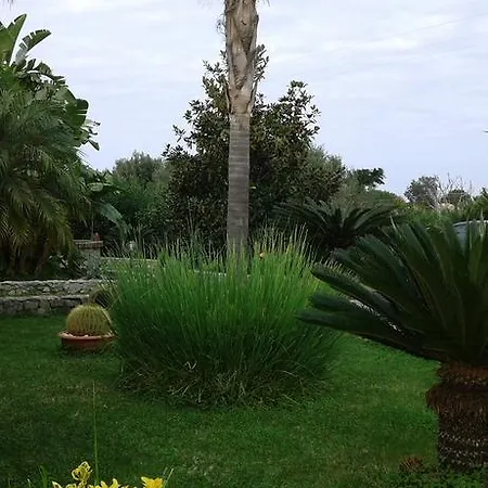 Il Lungomare